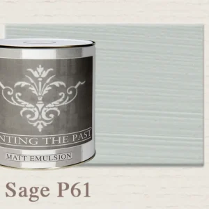 Painting The Past Matt Emulsion Sage P61 Betrouwbaar